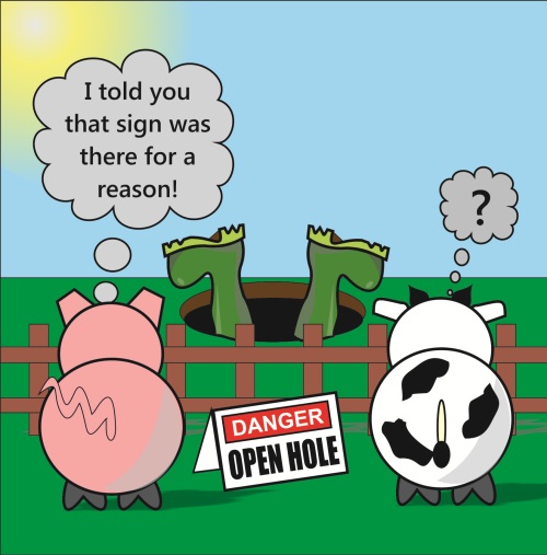 Open Hole - Rudy & Moody